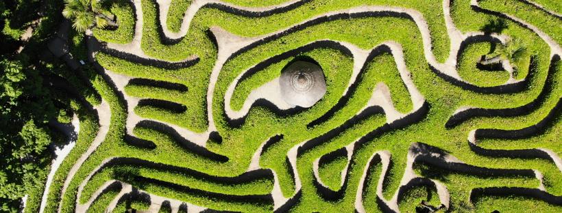 Stock aerial photo of a hedge maze.