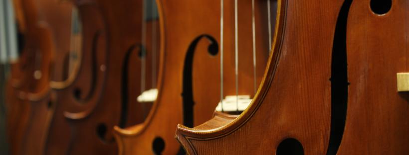 Stock photo glimpsing the front, f-holes and fingerboards of several violins hung vertically.